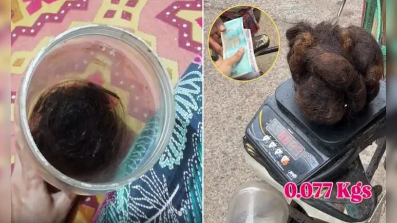2 साल तक इकट्ठे किए झड़ते बाल, पैसे कमाने के लिए लगाया तगड़ा जुगाड़, देख लोग बोले- कमाल का बिजनेस है 2 साल तक इकट्ठे किए झड़ते बाल, पैसे कमाने के लिए लगाया तगड़ा जुगाड़, देख लोग बोले- कमाल का बिजनेस है