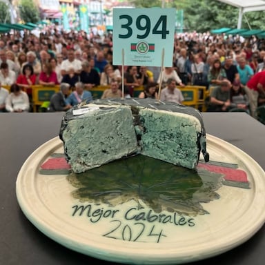 This Is The World's Most Expensive Cheese, Sold For Rs 36 Lakh At Auction