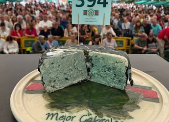 This Is The World's Most Expensive Cheese, Sold For Rs 36 Lakh At Auction This Is The World's Most Expensive Cheese, Sold For Rs 36 Lakh At Auction