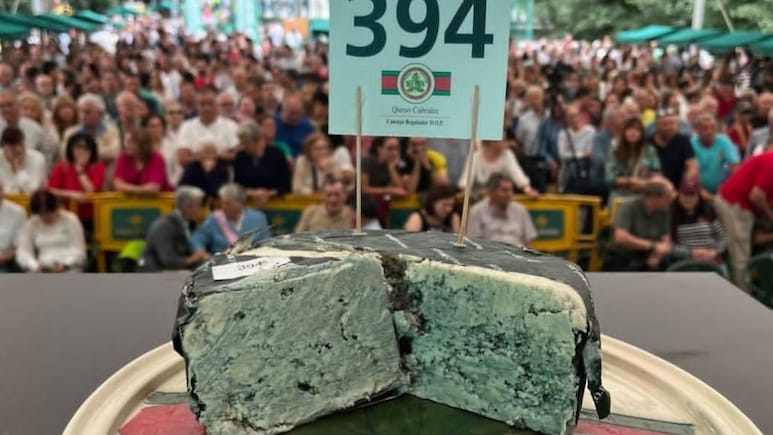 ये है दुनिया का सबसे महंगा Cheese, 36 लाख में हुई नीलामी, टेस्ट में है एकदम हटके ये है दुनिया का सबसे महंगा Cheese, 36 लाख में हुई नीलामी, टेस्ट में है एकदम हटके