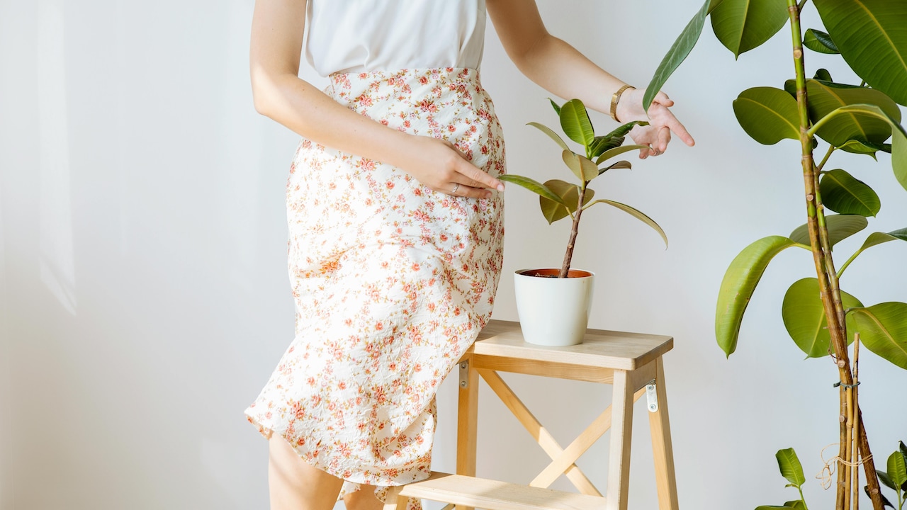 Add a vertical plant stand to save floor space and keep things mess-free