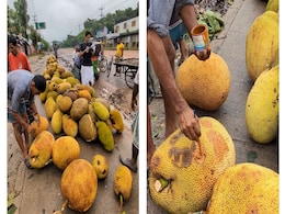 Street Vendor Captured Using Paint On Jackfruit To Hide Black Spot, Angers Internet Street Vendor Captured Using Paint On Jackfruit To Hide Black Spot, Angers Internet