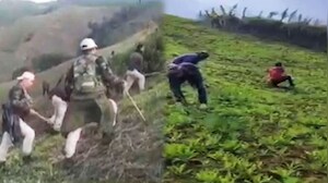 In Manipur, Cops Arrest Drug Peddlers, Take Bribe, Release Them, Suspended