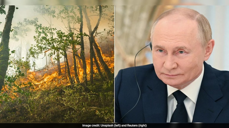 Downed Ukrainian Drone Sparks Massive Forest Fires Near Vladimir Putin's Mysterious Palace Downed Ukrainian Drone Sparks Massive Forest Fires Near Vladimir Putin's Mysterious Palace