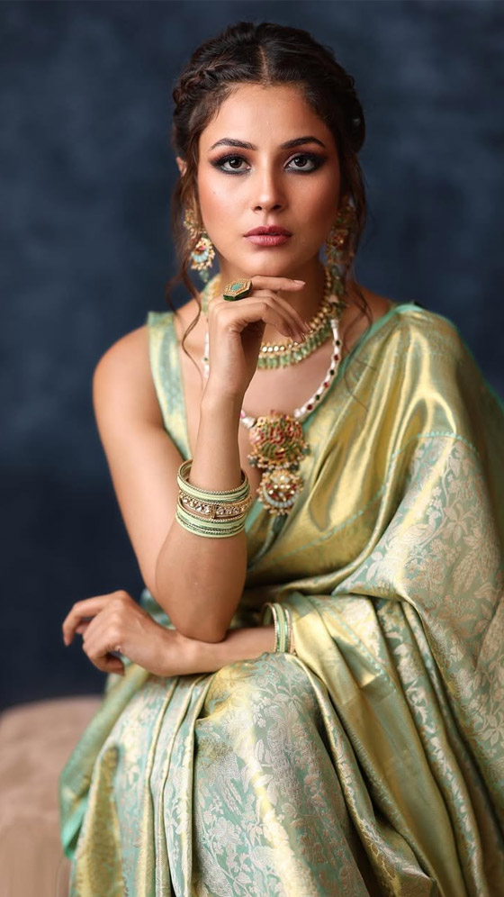 Unlocking Shehnaaz Gill's Fitness Diet Secrets