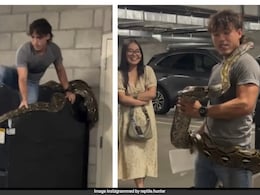 20 फुट लंबे अजगर को नंगे हाथों से उठाकर...इस तरह पाया काबू, देखते रह गए लोग 20 फुट लंबे अजगर को नंगे हाथों से उठाकर...इस तरह पाया काबू, देखते रह गए लोग
