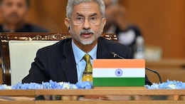 Terrorism "Persistent Threat" To Development: S Jaishankar