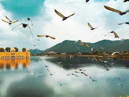 8 Scenic Getaways Near Delhi To Explore This Independence Day Weekend 8 Scenic Getaways Near Delhi To Explore This Independence Day Weekend