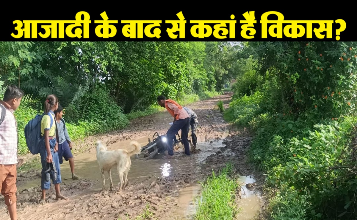 Satna News: स्कूल और अस्पताल पहुंचना किसी चुनौती से कम नहीं, सतना के गुलुवा गांव में ऐसे हैं हालात