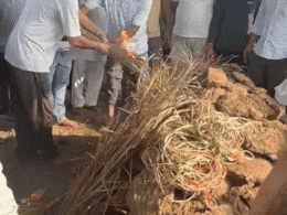 अगर ससुराल वाले भाग गए थे तो ससुर ने कैसे दी निक्की को मुखाग्नि? अंतिम संस्कार ने खोली झूठ की पोल! अगर ससुराल वाले भाग गए थे तो ससुर ने कैसे दी निक्की को मुखाग्नि? अंतिम संस्कार ने खोली झूठ की पोल!