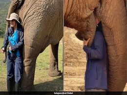 हाथी को गाना सुना रही थी महिला, खुश होकर गजराज ने सूंड से लपेटा और लगा लिया गले, Video दिल खुश कर देगा हाथी को गाना सुना रही थी महिला, खुश होकर गजराज ने सूंड से लपेटा और लगा लिया गले, Video दिल खुश कर देगा