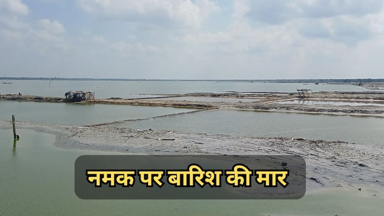 डीडवाना में नमक कारोबार पर पड़ी बरसात की मार, 500 करोड़ का कारोबार तबाह, हजारों परिवारों पर रोजी-रोटी का संकट