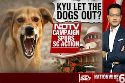 8-Week Deadline For Dog-Free Delhi: Big Top Court Order On Stray Dog Menace 8-Week Deadline For Dog-Free Delhi: Big Top Court Order On Stray Dog Menace