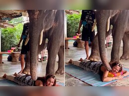 हाथी ने महिला को पैरों से दिया प्यार भरा बैक मसाज, हाथी की जेंटल थैरेपी का वीडियो हुआ वायरल हाथी ने महिला को पैरों से दिया प्यार भरा बैक मसाज, हाथी की जेंटल थैरेपी का वीडियो हुआ वायरल