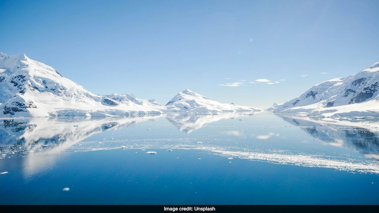 Scientists Uncover Vast Network of Submarine Canyons Off Antarctica Scientists Uncover Vast Network of Submarine Canyons Off Antarctica
