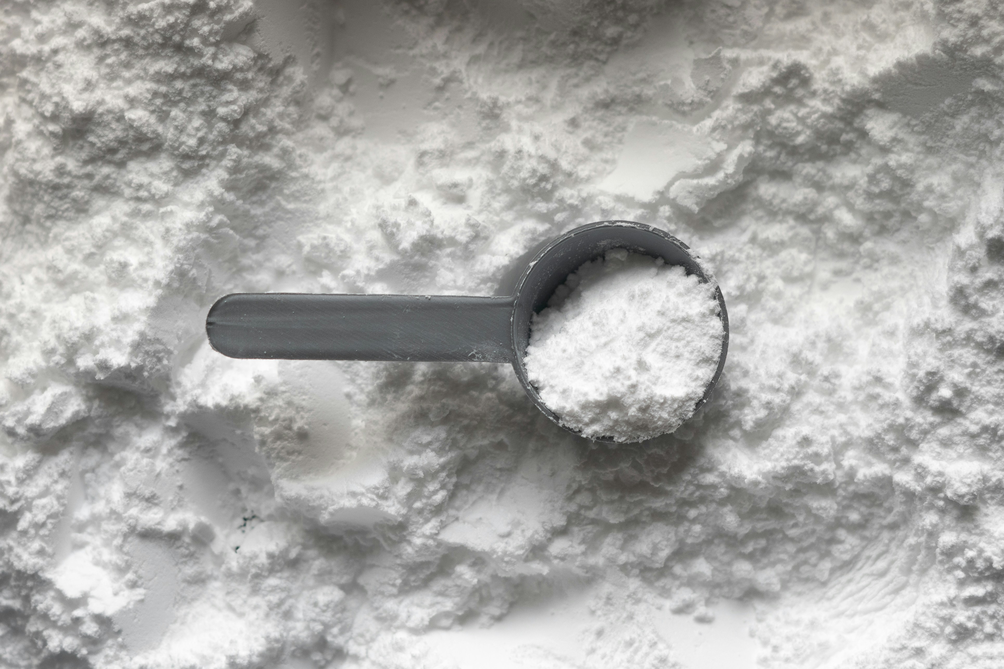 protein protein