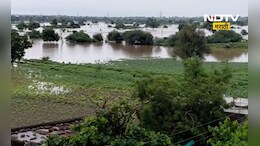 Marathwada Rain: मराठवाड्यात कोसळधार! मृतांची संख्या वाढली, जनावरांसह शेतीचं ही मोठं नुकसान