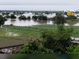 Marathwada Rain: मराठवाड्यात कोसळधार! मृतांची संख्या वाढली, जनावरांसह शेतीचं ही मोठं नुकसान Marathwada Rain: मराठवाड्यात कोसळधार! मृतांची संख्या वाढली, जनावरांसह शेतीचं ही मोठं नुकसान