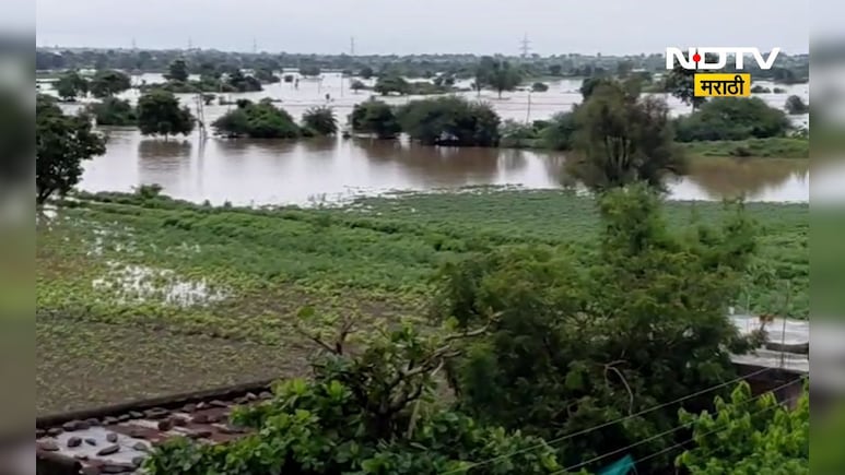 Marathwada Rain: मराठवाड्यात कोसळधार! मृतांची संख्या वाढली, जनावरांसह शेतीचं ही मोठं नुकसान Marathwada Rain: मराठवाड्यात कोसळधार! मृतांची संख्या वाढली, जनावरांसह शेतीचं ही मोठं नुकसान