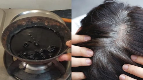 White Hair Remedy: नारळ तेलात मिक्स करा या 3 गोष्टी, मुळासकट काळे होतील पांढरे केस आणि केसांची होईल भराभर वाढ
