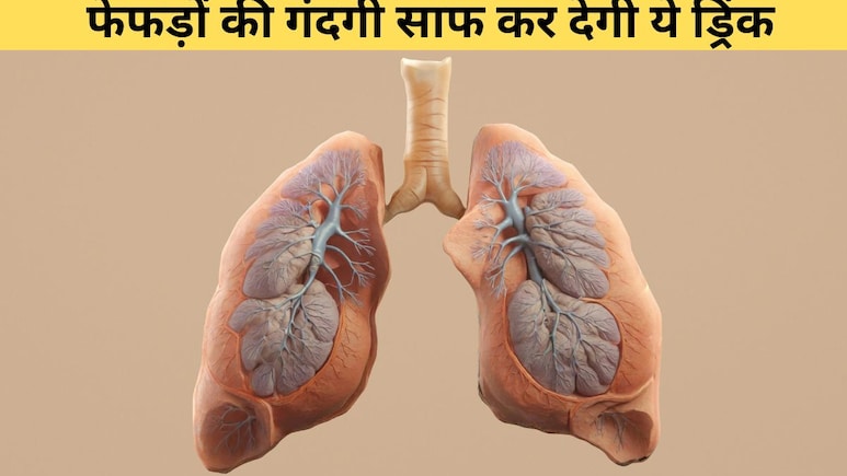 फेफड़ों की गंदगी कैसे साफ करें? ये होममेड ड्रिंक्स दिखा सकती हैं कमाल