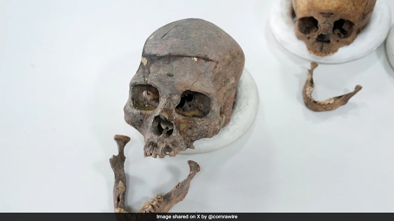France Beheaded An African King 100 Years Ago. His Skull Is On Its Way Home France Beheaded An African King 100 Years Ago. His Skull Is On Its Way Home