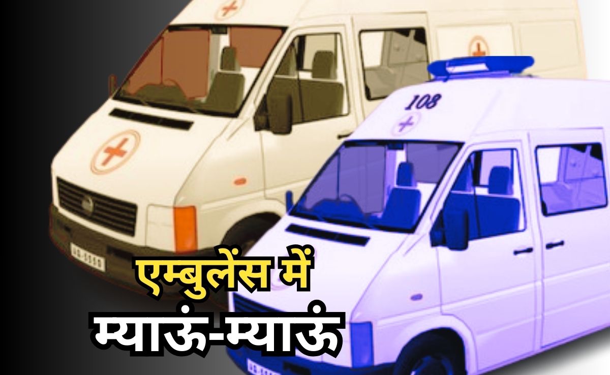 Drug Smuggling: बीमारों की जगह बीमारियां ढो रहे एम्बुलेंस, बड़ी मात्रा में बरामद हुआ सिंथेटिक ड्रग 'म्याऊं-म्याऊं'