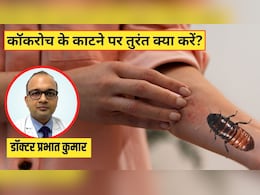 कॉकरोच काट ले तो क्या होता है? डॉक्टर ने बताया इन लक्षणों को न करें नजरअंदाज, जानें सबसे पहले क्या करें