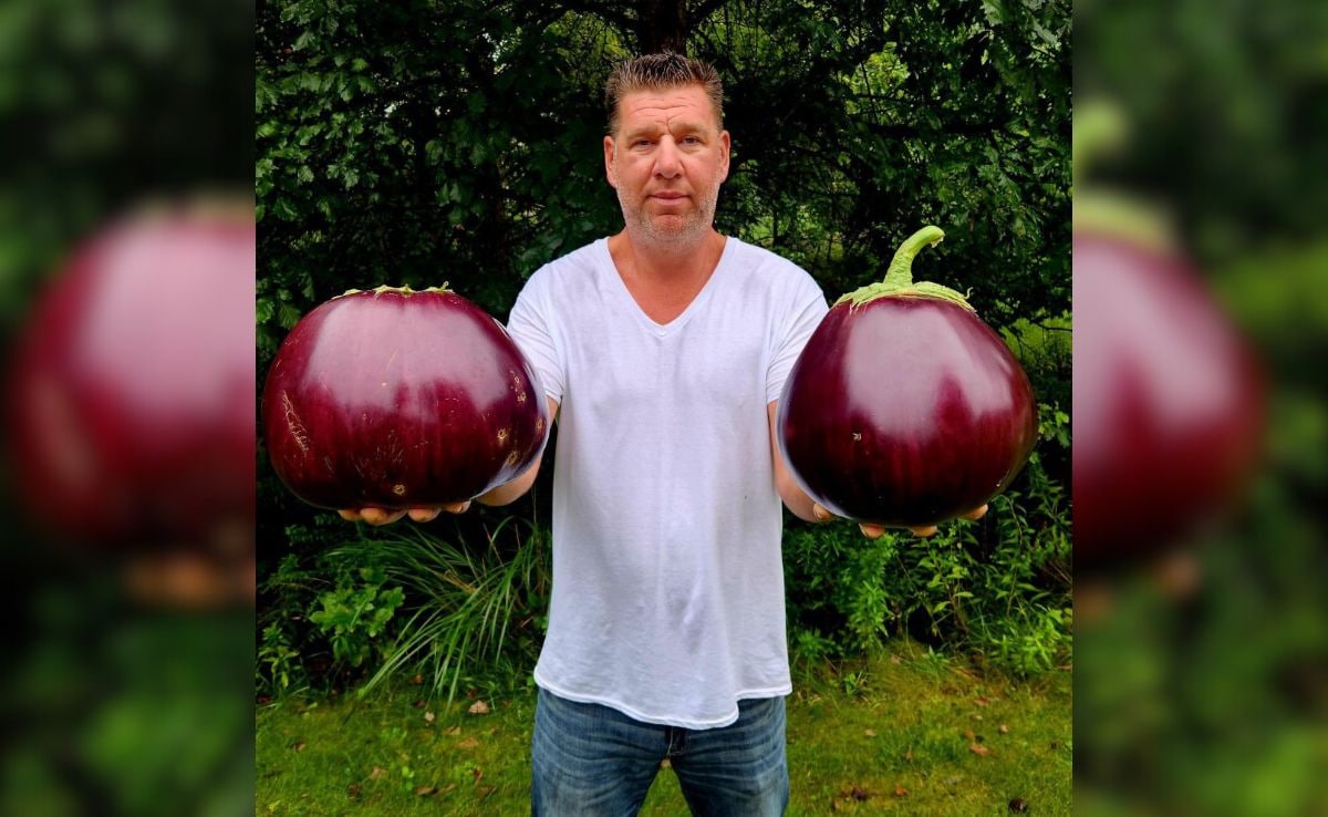 US Man Sets Guinness World Record With Heaviest Eggplant Ever