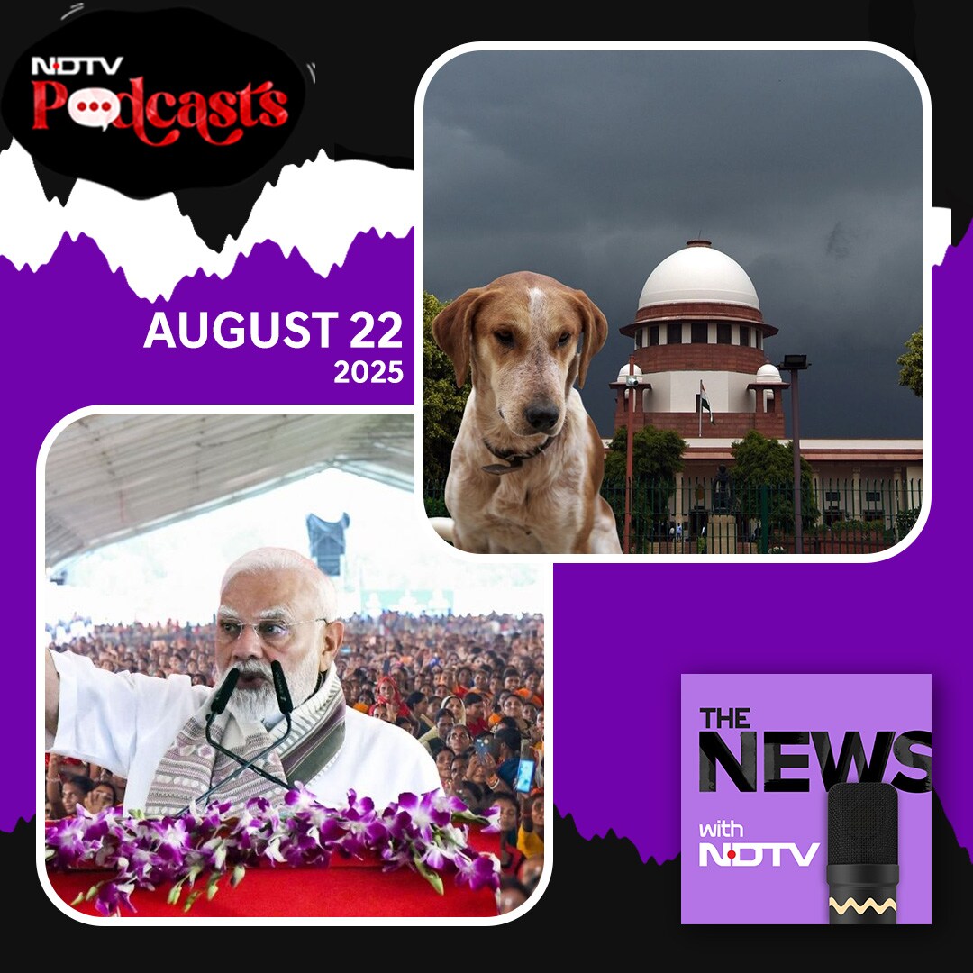 The News Ep300: SC Ruling On Stray Dogs, Sc On Bihar Voter List, PM&rsquo;s Jibe At Opposition episode artwork