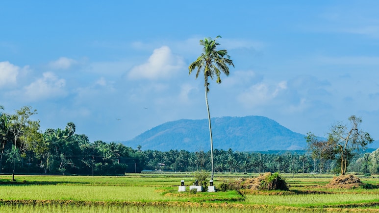 7 Offbeat South Indian Destinations for Peaceful, Crowd-Free Travel