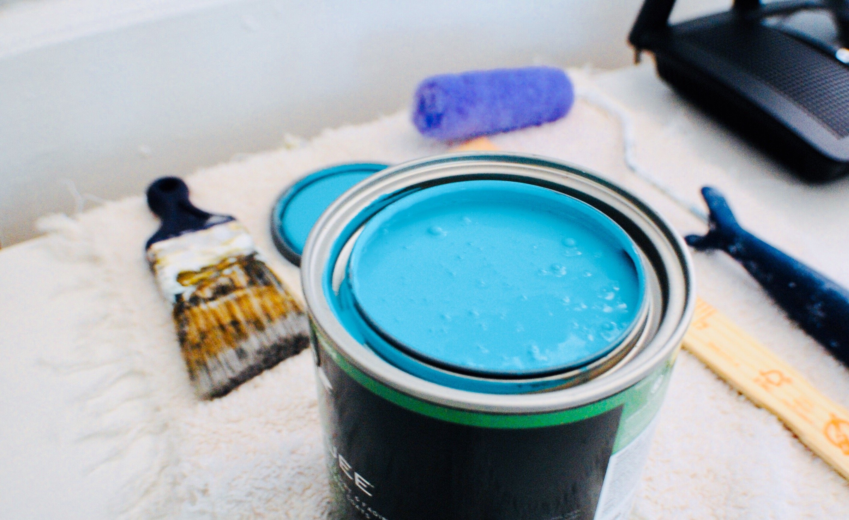 Berger Paints Aiming For Rs 20,000 Crore Turnover By 2030, Says CEO