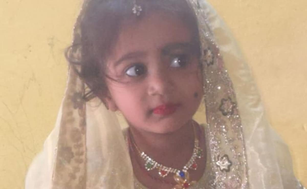 Karnataka Girl, 4, Dies Of Rabies Four Months After Stray Dog Bite