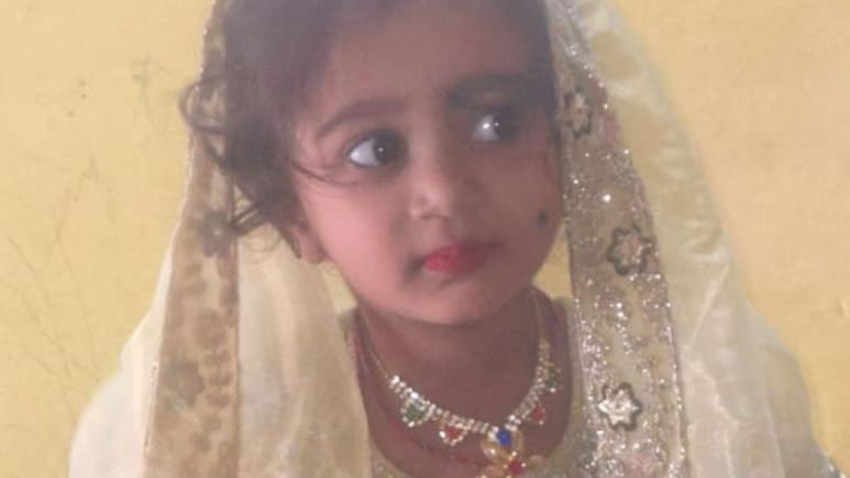 Karnataka Girl, 4, Dies Of Rabies Four Months After Stray Dog Bite