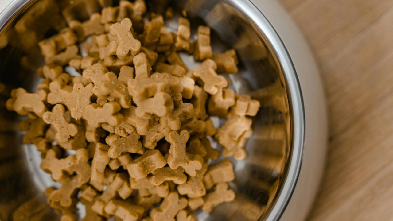 Slow feeders can turn mealtime into enrichment for both pet and pet parents