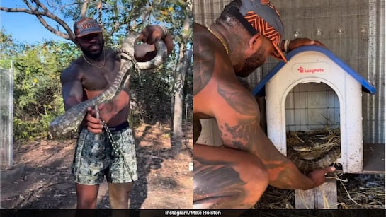 therealtarzann, Mike Holston: Watch: Wildlife Enthusiast's Close Call With Python Goes Viral