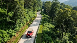 From Wayanad To Kabini, This Is South India's Most Romantic Road Trip Right Now