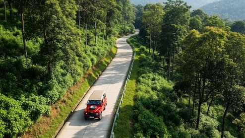 From Wayanad To Kabini, This Is South India's Most Romantic Road Trip Right Now