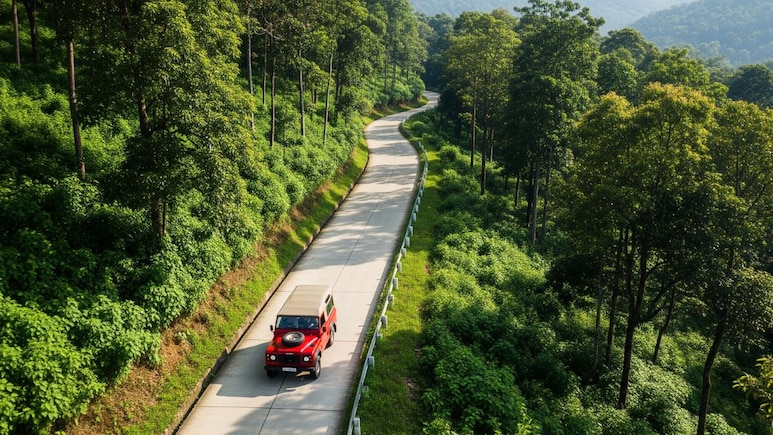 From Wayanad To Kabini, This Is South India's Most Romantic Road Trip Right Now From Wayanad To Kabini, This Is South India's Most Romantic Road Trip Right Now
