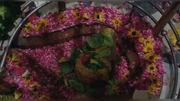 सावन का अंतिम सोमवार: बम भोले के जयघोष से गुंजायमान हुए शिवालय, कांवड़ियों ने किया जलाभिषेक