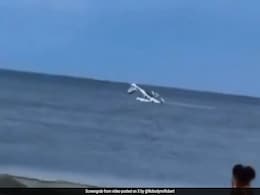 Video: Small Plane Crashes Into Ocean Near North Carolina, Pilot Survives Video: Small Plane Crashes Into Ocean Near North Carolina, Pilot Survives