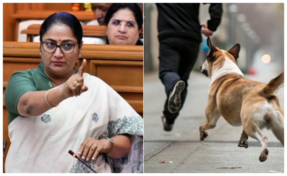 आवारा कुत्तों पर आज दिल्ली सरकार बनाएगी एक्शन प्लान, CM रेखा ने बुलाई अहम बैठक