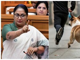 आवारा कुत्तों पर आज दिल्ली सरकार बनाएगी एक्शन प्लान, CM रेखा ने बुलाई अहम बैठक आवारा कुत्तों पर आज दिल्ली सरकार बनाएगी एक्शन प्लान, CM रेखा ने बुलाई अहम बैठक