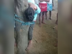 Mobile Theft Accused Tied To Tree, Beaten Up By Angry Villagers In Bihar