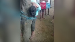 Mobile Theft Accused Tied To Tree, Beaten Up By Angry Villagers In Bihar