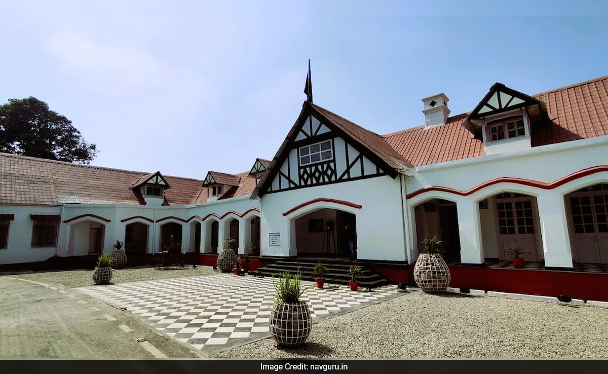 The Art of Baking: From Classic Bread to Artisan Pastries