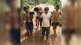 एमपी में सड़क का संघर्ष: कंधे पर मरीज ढोने को विवश ग्रामीण, बरसात के मौसम में समस्या से घिर जाता है गांव