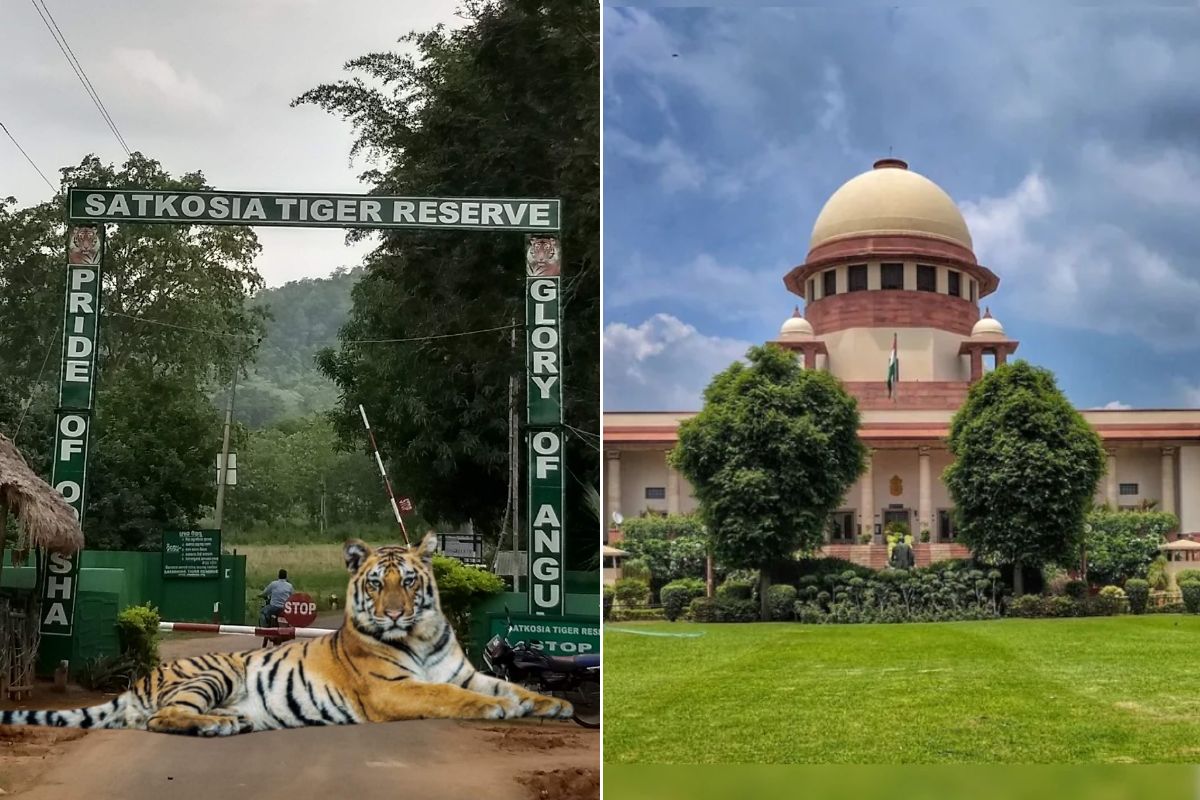 ओडिशा के सतकोसिया टाइगर रिजर्व में निर्माण, सुप्रीम कोर्ट ने राज्य सरकार को जारी किया नोटिस
