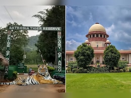 ओडिशा के सतकोसिया टाइगर रिजर्व में निर्माण, सुप्रीम कोर्ट ने राज्य सरकार को जारी किया नोटिस ओडिशा के सतकोसिया टाइगर रिजर्व में निर्माण, सुप्रीम कोर्ट ने राज्य सरकार को जारी किया नोटिस