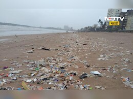 Mumbai News: मुंबईतील समुद्रकिनाऱ्यावर पावसामुळे किती टन जमा झाला कचरा? मनपाने दिली आकडेवारी